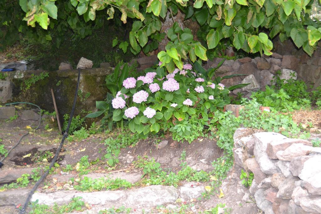 Su Cantaru Guesthouse Villanova Monteleone Eksteriør billede